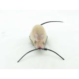 Blechspielzeug - Braune Maus mit Trick